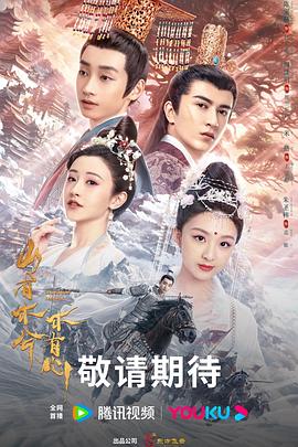 青岛网站seo优化公司